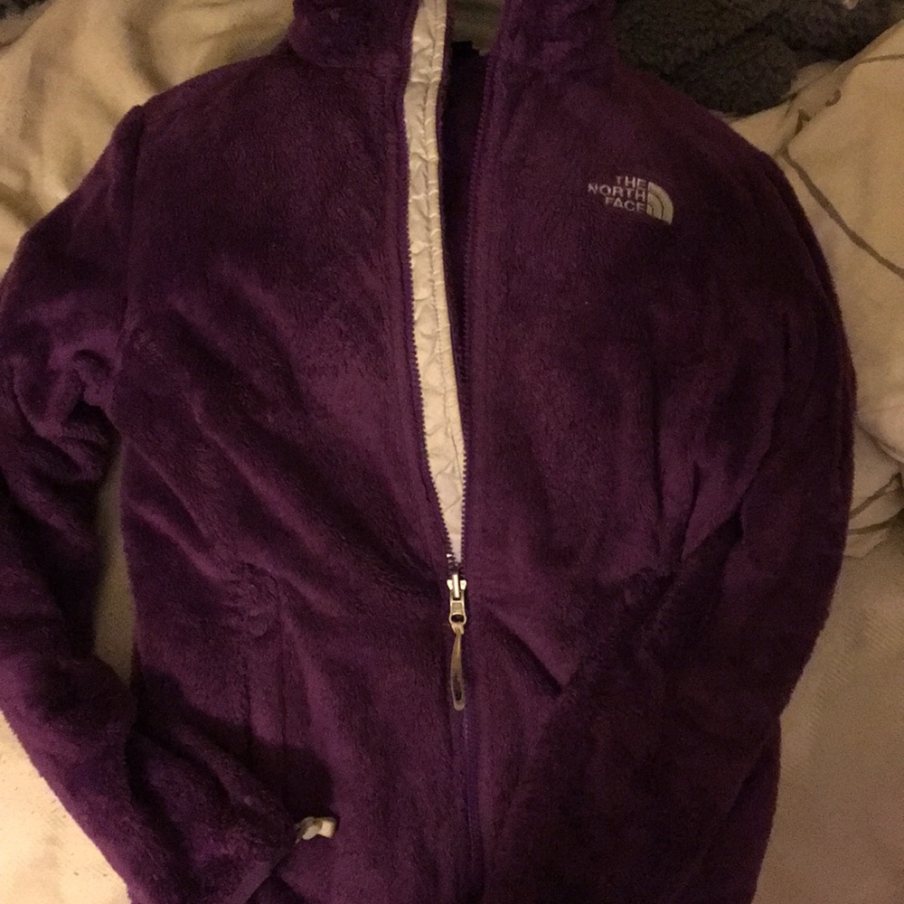 Osito North Face
